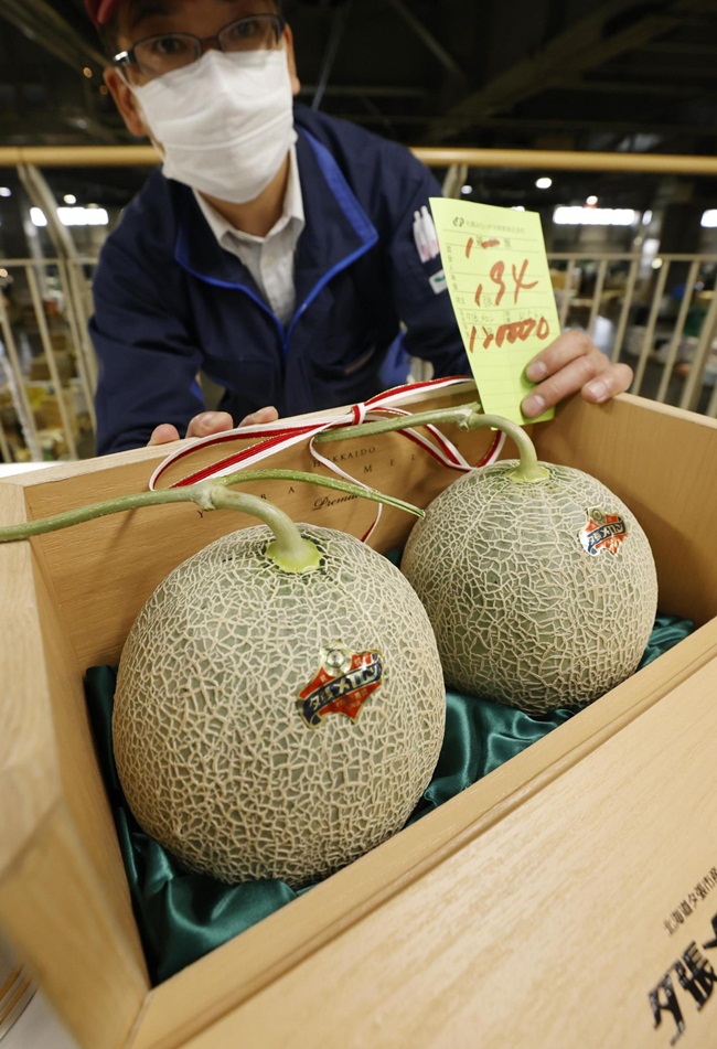 Những quả dưa Yubari này được trồng ở vùng Hokkaido, Nhật Bản. Từ lâu, loại dưa này đã rất nổi tiếng về độ ngon. 
