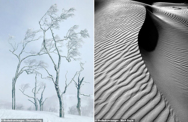 “Thiên đường mùa đông” là tên bức ảnh được Stephen King chụp ở Hokkaido, Nhật Bản (trái). Nhiếp ảnh gia Mark Boyle ghi lại vẻ đẹp như tranh vẽ ở Vịnh Injidup, Australia (phải).

