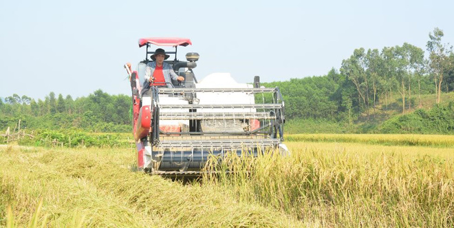 Xu hướng mua máy gặt mới để thu hoạch lúa vụ mùa đông – xuân của nông dân miền Bắc - 1