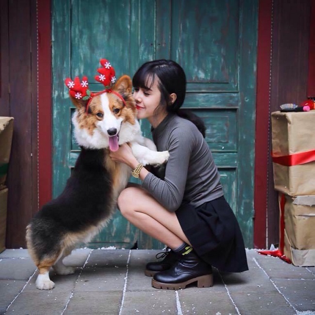 Chị Hà My và chú&nbsp;chó Corgi có giá 30 triệu đồng.