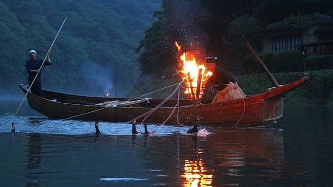 Ngoài câu dưới sông thì người Nhật vẫn dùng cách bắt cổ truyền đã có từ 1300 năm trước. Theo đó, cách bắt này dùng chim cốc. Thuyền được đưa ra giữa sông, đốt đuốc sáng trong đêm tối, chim cốc được thả xuống để bắt cá và người ta lấy cá từ miệng của chim cốc. 
