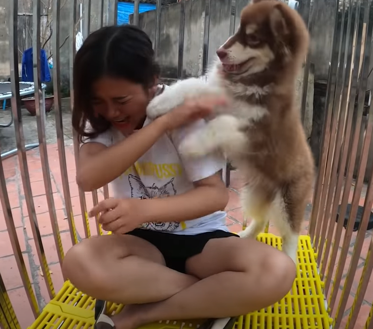 Con trai bà Tân Vlog gây tranh cãi khi dụ nhốt em gái nuôi vào chuồng chó