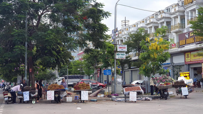 Trên vỉa hè đường Lê Văn Lương kéo dài đến Tố Hữu (quận Thanh Xuân, Hà Nội), nhiều mặt hàng trái cây được bán rong với các mức giá ưu đãi đính kèm trên biển, như măng cụt 30.000 đồng/kg, chôm chôm 20.000 đồng/kg, mận hậu 25.000 đồng/kg...