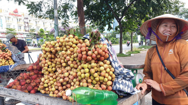 Riêng về mặt hàng vải thiều, bà Lê Thị Chu cho biết, năm nay, vải thiều ở khu vực Lục Ngạn (Bắc Giang), Thanh Hà (Hải Dương)... được mùa nên mức giá bán lẻ đến tay người tiêu dùng rất rẻ, chỉ từ 15.000 đồng/kg, tùy loại. Trong khi đầu mùa, mặt hàng này có giá không dưới 40.000 đồng/kg.