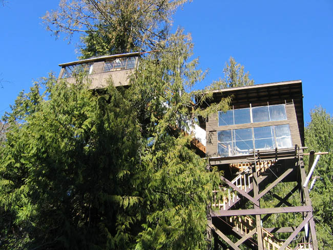 Khách sạn cây: Khách sạn Cedar Creek Treehouse nằm cách mặt đất 15m và có hai tầng, được xây dựng xung quanh một cây tuyết tùng 200 năm tuổi.&nbsp;
