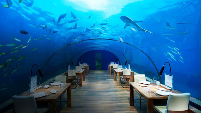 Khách sạn dưới nước: Đây là một trong những khách sạn đẹp nhất và khác thường nhất trên thế giới. Khách sạn dưới nước ở Dubai đưa bạn vào một thế giới giả tưởng với những chú cá bơi qua cửa sổ phòng bạn. 
