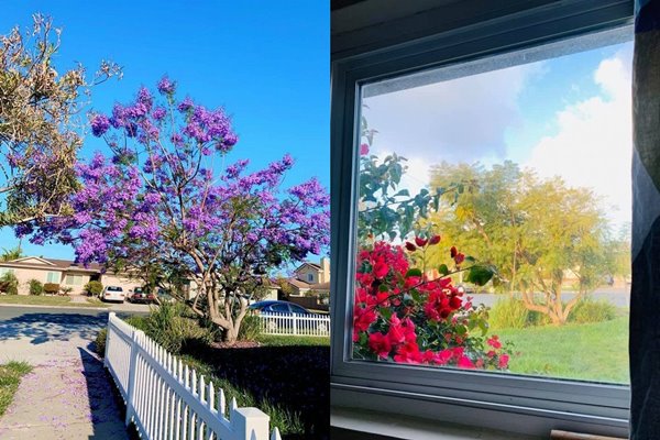 Cuộc sống ở Mỹ của Ngọc Anh 3A và chồng Tây sau thời gian chiến đấu với bệnh tật - 6