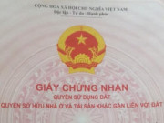 Kinh doanh - 11 năm mắc kẹt với quyết định mua nhà đất không có sổ đỏ