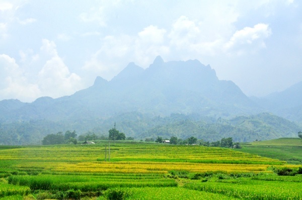 Sàng Ma Sáo trải dài dưới chân núi Nhìu Cồ San - ảnh: Báo Lào Cai