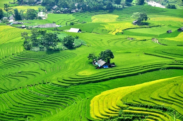 Những thửa ruộng bậc thang uốn lượn bao bọc những ngôi nhà nằm rải rác trên các triền đồi - ảnh: báo Lào Cai&nbsp;