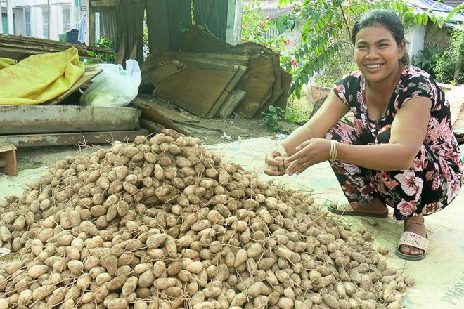 Trời cực nắng nóng có một loại củ ăn mát cả người nhưng mang cái tên nghe &#34;ngồ ngộ&#34; - 2