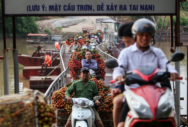 Biển thông báo "Mặt cầu trơn, dễ xảy ra trơn trượt"