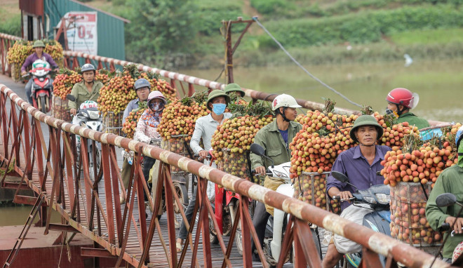 Chiếc cầu phao là con đường duy nhất giúp mọi người đi đến chợ đầu mối bán vải.