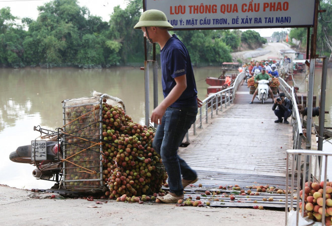 Nhiều người dân cũng rất lo lắng vì không biết khi qua cây cầu này còn vải để bán nữa không