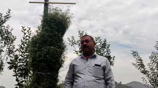 Tổng chiều cao của cây khoảng 2,16m. Hiện, anh cũng trồng táo hữu cơ trên khu đất rộng ở làng Bilkesh, ở Almora, Ấn Độ.
