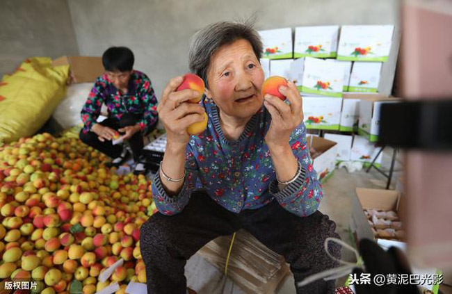 Trước đây, cháu trai cụ Cui đi làm khắp nơi từ lúc tốt nghiệp đại học. Nhưng cách đây vài năm, cháu trai của bà về quê kinh doanh thương mại điện tử, bán các nông sản cho khách hàng.
