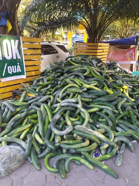 Điểm bán bí xanh “giải cứu” tại đường Lê Hữu Thọ (Linh Đàm, Hoàng Mai, Hà Nội) với giá chỉ 10.000 đồng/ quả 2-3kg nhưng cũng rất ít người quan tâm.