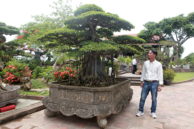 Chủ sở hữu mới của tuyệt phẩm Cây cảnh nghệ thuật này, Nghệ nhân Nguyễn Văn Chí không giấu được niềm xúc động: “Tôi biết và theo đuổi tác phẩm độc đáo này từ năm 2009, hôm nay mới được chính thức sở hữu nó từ Nghệ nhân Hùng xiếc. Tôi cảm thấy vô cùng hạnh phúc. Tôi sẽ tiếp tục chăm sóc, hoàn thiện và mang những tuyệt phẩm này tham dự các cuộc trưng bày lớn của Thủ đô và cả nước để lan tỏa những nét đẹp cuộc sống”.
