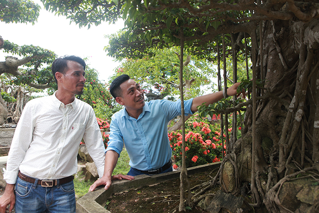 Còn ông Phan Văn Toàn &nbsp;- Toàn “đô la” (TP. Việt Trì), người sở hữu vườn cây di sản duy nhất ở Việt Nam, cho biết: “Tôi đã trả 7 tỷ đồng cho tác phẩm “Thụ lâm bồng thạch” của anh Hùng nhưng anh ấy không bán, tôi muốn sở hữu tác phẩm này để trong vườn nhà mình cho bộ sưu tập cây thêm phong phú, đa dạng”.
