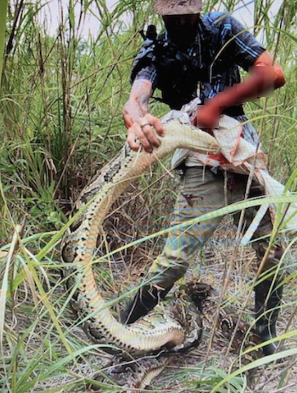 Cánh tay của thợ săn Mỹ nhuốm đỏ bởi máu sau cú đớp của con trăn khổng lồ. Ảnh: Trapper Mike