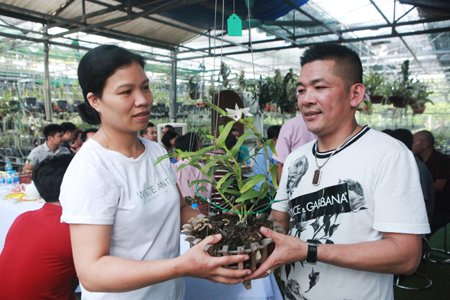 Anh Nguyễn Huy Tuyến, người mua cây này với giá 5 tỷ đồng cũng chia sẻ, qua tìm hiểu và được biết anh chị có cây lan mới rất quý. Anh đến tận vườn xem xổ bông rất đẹp, nhìn mê đắm
