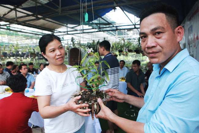 Ông Vương Xuân Nguyên, Chánh Văn phòng Hội Sinh Vật Cảnh thành phố Hà Nội, có mặt tại buổi giao dịch cũng cho biết đây là những giao dịch thật chứ không ảo như mọi người nghĩ vì tìm ra một giỏ lan đột biến đã khó, mặt bông đẹp lại càng khó hơn nên chúng có giá trị rất đắt
