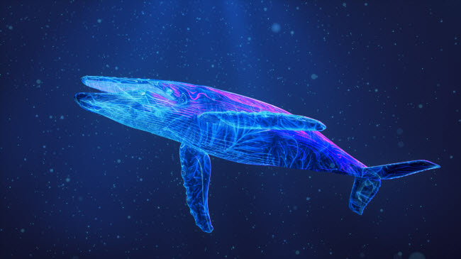 Cá voi xanh trông như quái vật trong bức ảnh được chụp bằng hiệu ứng ánh sáng đặc biệt.
