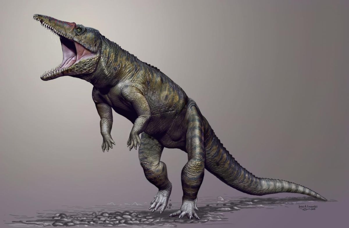 Loài cá sấu cổ đại từng di chuyển chỉ bằng 2 chân giống với một số loài khủng long ăn thịt. Ảnh minh họa:&nbsp;Jorge Gonzales