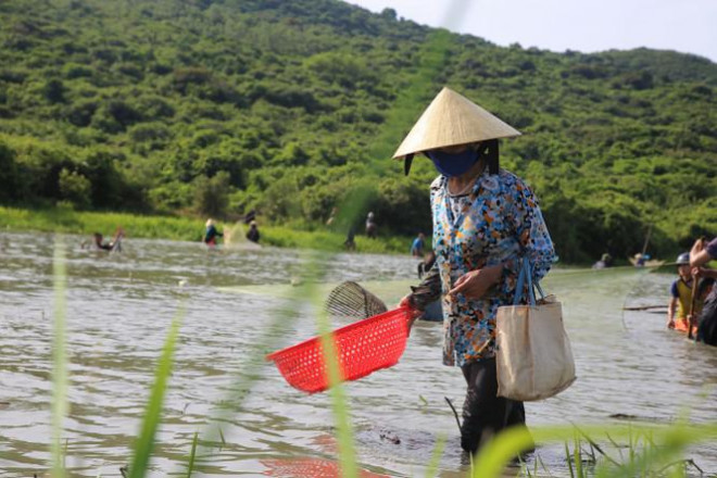 Sau tiếng hô lớn, hàng trăm người dân nhào xuống Đầm Vực bắt cá - 15