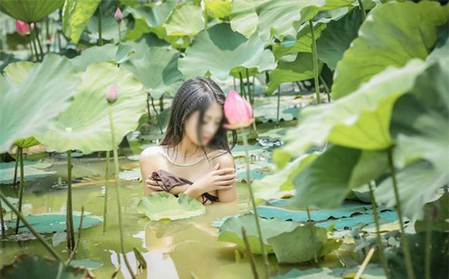 Nhưng không ít người chụp ảnh phản cảm bên hồ sen, ăn mặc hở hang thậm chí khỏa thân.