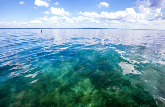 Michigan Triangle (Lake Michigan): &nbsp;Có rất nhiều những con tàu bị chìm, tai nạn máy bay trong một khu vực hồ Michigan. Các lực lượng siêu nhiên là lời giải thích thỏa đáng nhất&nbsp;cho tần suất của những thảm họa này.
