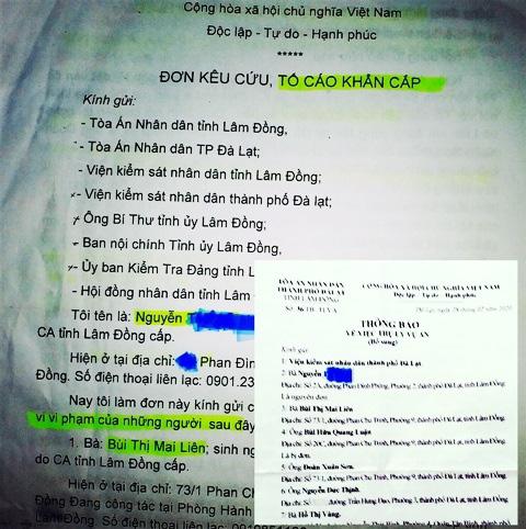 Nhiều đơn tố cáo đến cơ quan chức năng tỉnh Lâm Đồng liên quan đến bà Liên vay nợ hàng trăm tỉ đồng.