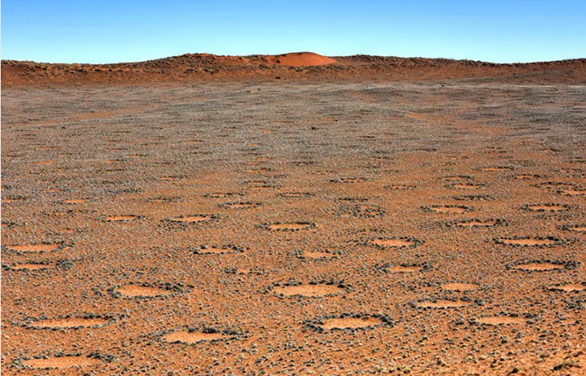 Vòng tròn cổ tích (Namibia): Hàng triệu mảng tròn rải rác trên sa mạc ở quốc gia Namibia thuộc châu Phi. Những hình bầu dục kỳ lạ này được gọi là vòng tròn cổ tích trông như thể chúng được tạo ra bởi những sinh vật nhỏ bé.&nbsp;
