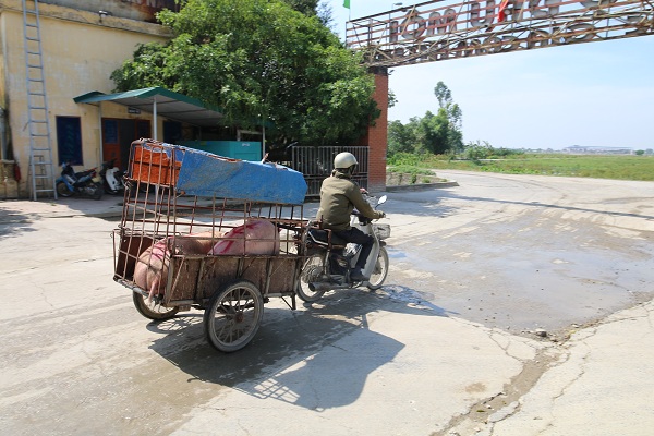 Để giá heo "hạ nhiệt",&nbsp;tăng đàn, tái đàn là giải pháp căn cơ nhất