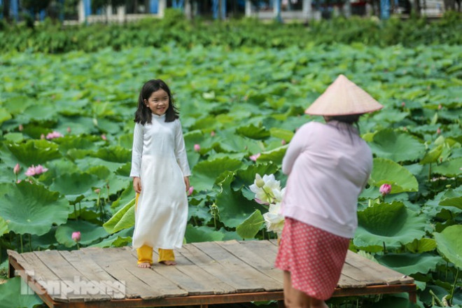 Hốt &#39;bạc triệu&#39; mỗi ngày trong mùa sen Hồ Tây - 12