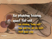 Tin tức trong ngày - Xe phượng hoàng, quạt tai voi và những “báu vật” lưu giữ ký ức cả một thời bao cấp