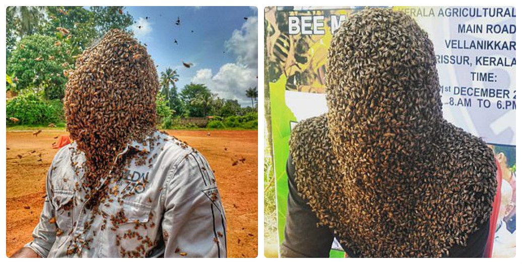 Thanh niên giữ 6 vạn con ong trên mặt (ảnh: Daily Mail)