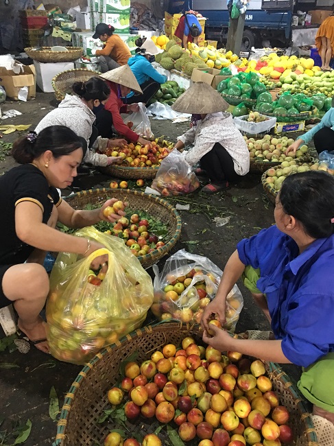 Tại chợ đầu mối hoa quả, không khó để nhìn thấy hàng trăm chiếc thùng đựng đào có&nbsp;nhãn mác Trung Quốc xếp thành đống bên cạnh những sạp bán đào.