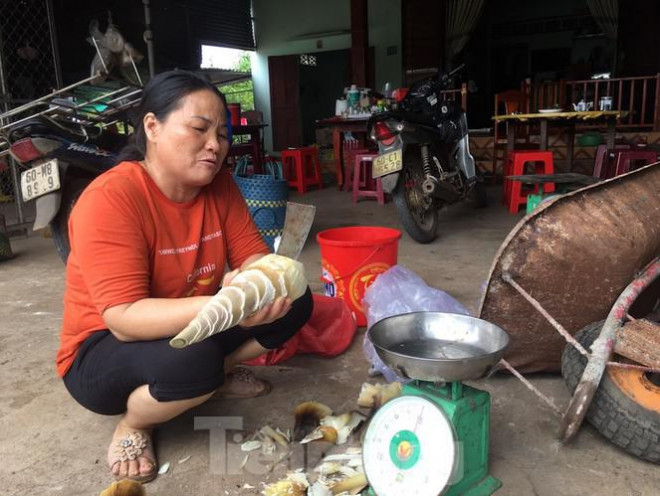 Trong khi đó, người dân sống trong vùng quy hoạch sân bay Long Thành lại khá lo lắng về kế sinh nhai sau khi dời đến nơi ở mới. Phải giải ngân hết 23.000 tỷ đồng