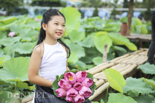 Bé Thùy Linh (quận Ba Đình) chia sẻ: “Hôm nay cuối tuần ba mẹ dẫn cháu đi chụp ảnh sen ở Hồ Tây, đây là lần đầu tiên cháu được đi chụp. Cháu rất yêu thích loài hoa này bởi vẻ đẹp mộc mạc, giản dị”.