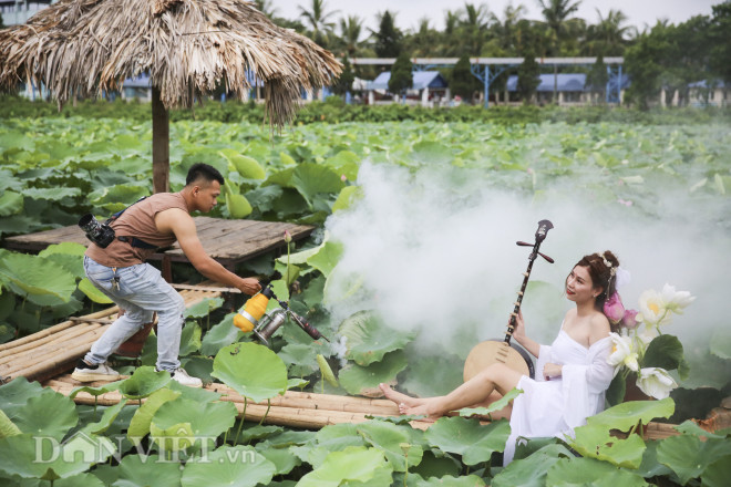 Để chụp một bộ hoa sen ưng ý, cả nhiếp ảnh gia lẫn mẫu ảnh phải mất rất nhiều công sức và thời gian.