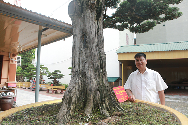 &#34;Những cây đẹp, già, có thương hiệu thường mua rất khó. Mình phải có duyên mới sở hữu được vì “quý vật tìm quý nhân”, vị đại gia chia sẻ
