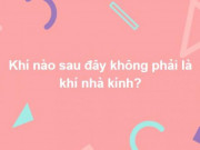 Giáo dục - du học - Bộ câu hỏi tưởng dễ nhưng trả lời đúng hết cũng không phải dạng vừa