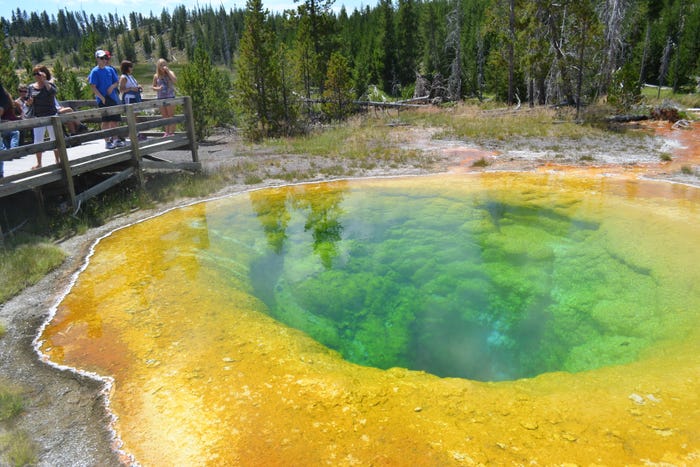 1. Suối nước nóng Morning Glory Pool, Mỹ: Nằm trong vườn quốc gia Yellowstone, suối nước nóng ban đầu chỉ có màu xanh, nhưng du khách ném các đồng xu và đá xuống suối, khiến các vi sinh vật phát triển mạnh làm nước thay đổi màu.