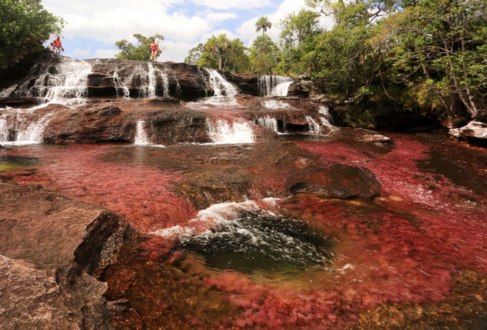 10. Sông Cano Cristales, Colombia: Màu nước đỏ bí ẩn của dòng sông này bắt nguồn từ một loại cây có tên Macarenia clavigera khi chúng nở hoa từ tháng 9 đến tháng 11 hằng năm.