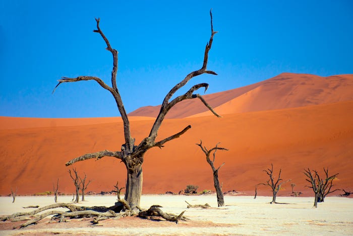 11. Vùng lòng chảo Deadvlei, Namibia: Nơi đây trông giống như một bức tranh, nhưng thực chất nó là vùng đất khô cằn trong vườn quốc gia Namib-Naukluft. Các cây chết khô có màu tương phản với những cồn cát màu đỏ cam.