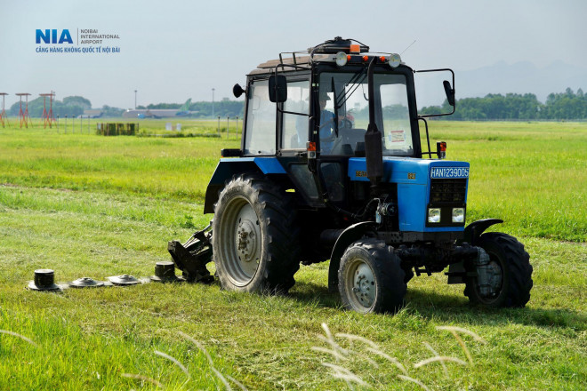 Hoạt động cắt cỏ luôn đảm bảo thường xuyên dưới mọi điều kiện thời tiết