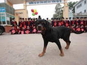 Bạn trẻ - Cuộc sống - Đang hào hứng chụp ảnh kỷ yếu, học trò dở khóc dở cười khi có &quot;vị khách lạ&quot; xen vào