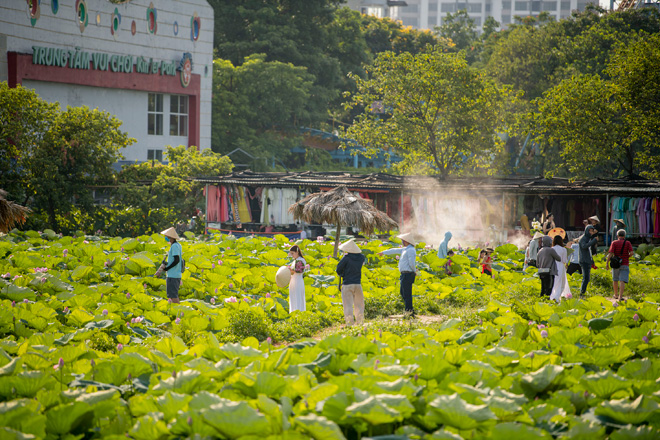 Như mọi năm, mùa sen nở rộ cũng là thời điểm phái đẹp nô nức đến đầm sen chụp ảnh bất chấp thời tiết như đổ lửa.