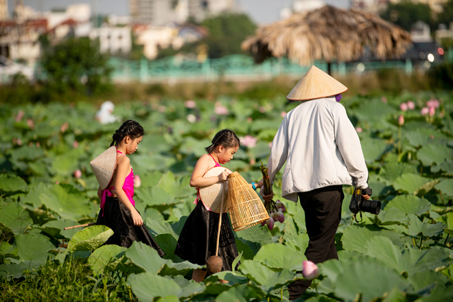 Nắng nóng như đổ lửa, chị em vẫn “phơi mình” tạo dáng dưới đầm sen - 14